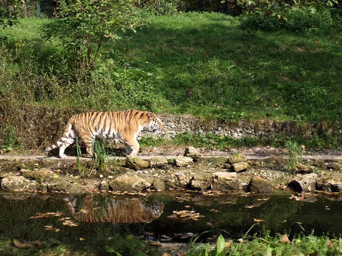 Nutzerbilder Münchener Tierpark Hellabrunn