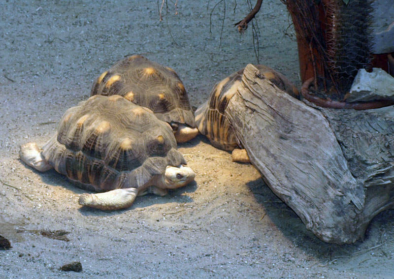 Bild 60 Münchner Tierparkschule Hellabrunn in München