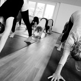 Iyengar Yoga bewegt in Emmendingen