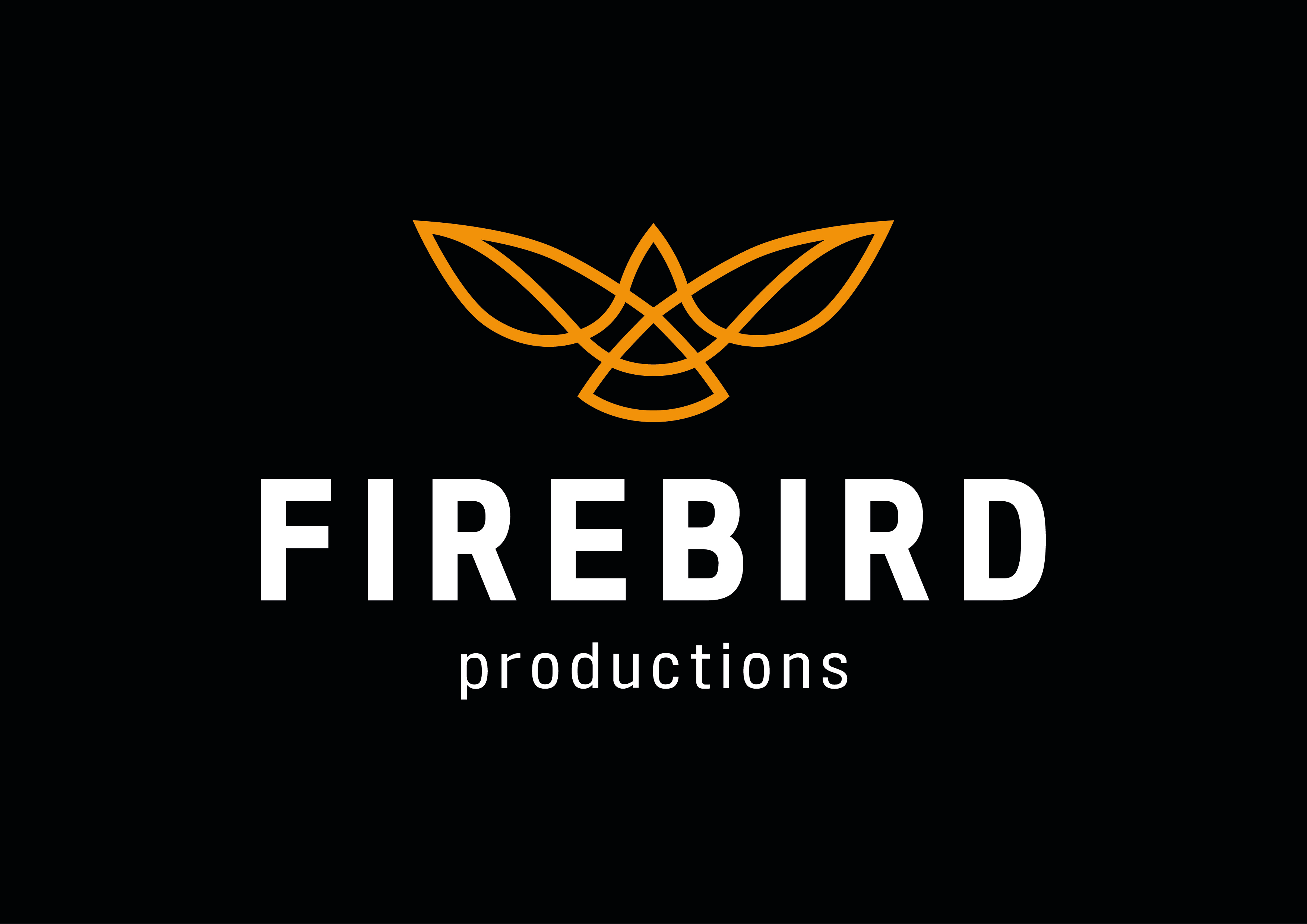 Bild 1 Firebird Productions GbR in Flensburg