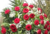 Nutzerbilder Moß Maria Blumenkunsthandwerk