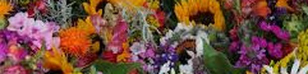 Bild zu Belle Fleure Floristik und Gartenbau