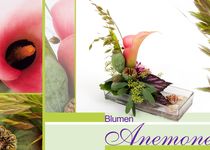 Bild zu Blumen Anemone
