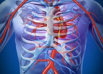 Bild zu Astrid Wenzel Ärztin für Kardiologie und Innere Medizin
