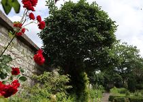 Bild zu Kloster St. Josef - Priesterhaus