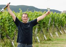 Bild zu Weingut Bruno Schreieck Inh. Benedikt Schreieck