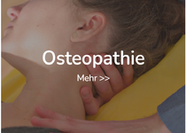 Bild zu Osteopathie Bienen | Pfaffenhofen