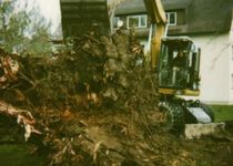 Bild zu Schilling Ulmer Baumpflege & Gartengestaltung