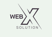 Bild zu WebX-Solution