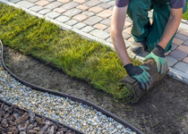 Bild zu Jovanovic Gartengestaltung