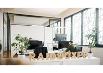 Bild zu raidboxes® – WordPress Hosting