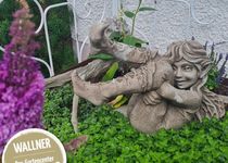 Bild zu Wallner Garten- und Landschaftsbau / Gartencenter