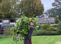 Bild zu Scho House - Hausmeisterservice und Gartenbau