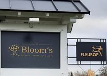 Bild zu Bloom`s Blumen, Dekoration & Wein