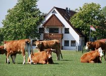 Bild zu Ferienhof Hochthanner Inh. Anja Feuchtenberger