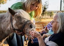 Bild zu Medi terra Gesellschaft für soziale Einrichtungen gGmbH Altenpflegeheim Woltorf