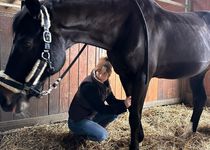 Bild zu Pferdetherapie Jäger