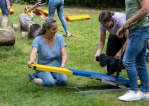 Bild zu SIRIUS® Hundeschule München