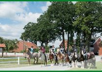 Bild zu Ponyhof-Pension Hartmann