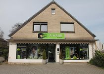 Bild zu A-Haar Die Friseure