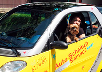 Bild zu Auto-Scheiben-Service Kiefer GmbH