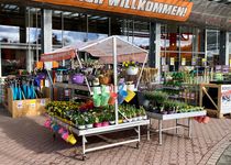 Bild zu OBI Gartencenter Erlangen