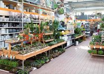 Bild zu OBI Gartencenter Leipzig