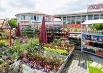 Bild zu OBI Gartencenter Amberg