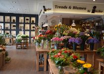 Bild zu Blumen Interfleur Floristik & Wohnaccessoires