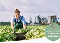 Bild zu Foodservice Abels Früchte Welt GmbH