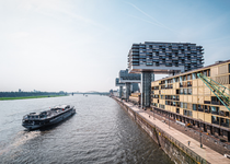Bild zu Iris Baumann - Immobilienmakler Rheinauhafen Köln
