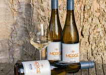 Bild zu MERGE WINES by Mauritz Peres - Online-Weinhaus mit Verkauf in Köln und Koblenz