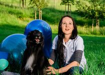 Bild zu Tiertherapie Dresden - Praxis für Hundephysiotherapie & Tiernaturheilkunde