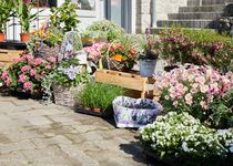 Bild zu Gartenbau Drewes