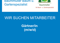 Bild zu Baummüller Baum u. Gartenspezialist