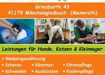 Bild zu creHAIRtiv4PETS Tiersalon für alle Hunde, Katzen und Kleintiere