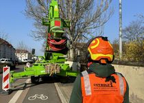 Bild zu GutHolz Baum und Landschaftspflege