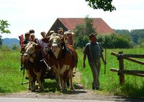 Bild zu Bauernhaus-Museum Allgäu-Oberschwaben Wolfegg