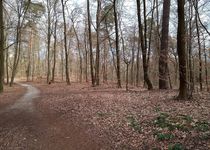 Bild zu FriedWald Mühlenbecker Land