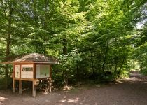 Bild zu FriedWald Schönebeck (Elbe)