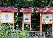 Bild zu FriedWald Hirschwiese in Taunusstein