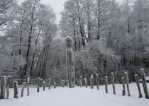 Bild zu Hotel am Waldbad