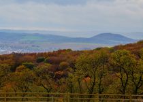 Bild zu FriedWald Neuwied-Monrepos