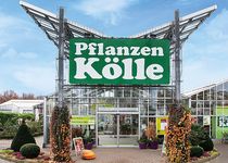 Bild zu Pflanzen-Kölle Gartencenter GmbH & Co. KG Fellbach