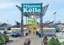 Bild zu Pflanzen-Kölle Gartencenter GmbH & Co. KG Berlin - Borgsdorf