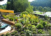 Bild zu U. Bach Garten- und Landschaftsbau