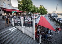 Bild zu Hafenliebe Seehund Bar Warnemünde