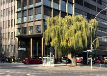 Bild zu Autohaus König Jeep City Store