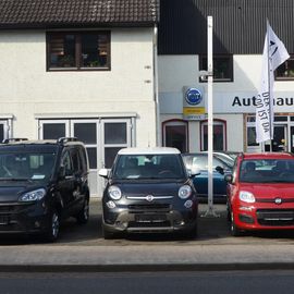 Autohaus Hermann Faber - Fiat Service Alfeld, Sarstedt, Springe, Nordstemmen in Nordstemmen