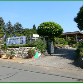 Garten- und Landschaftsbau "Traumgarten" in Biedenkopf